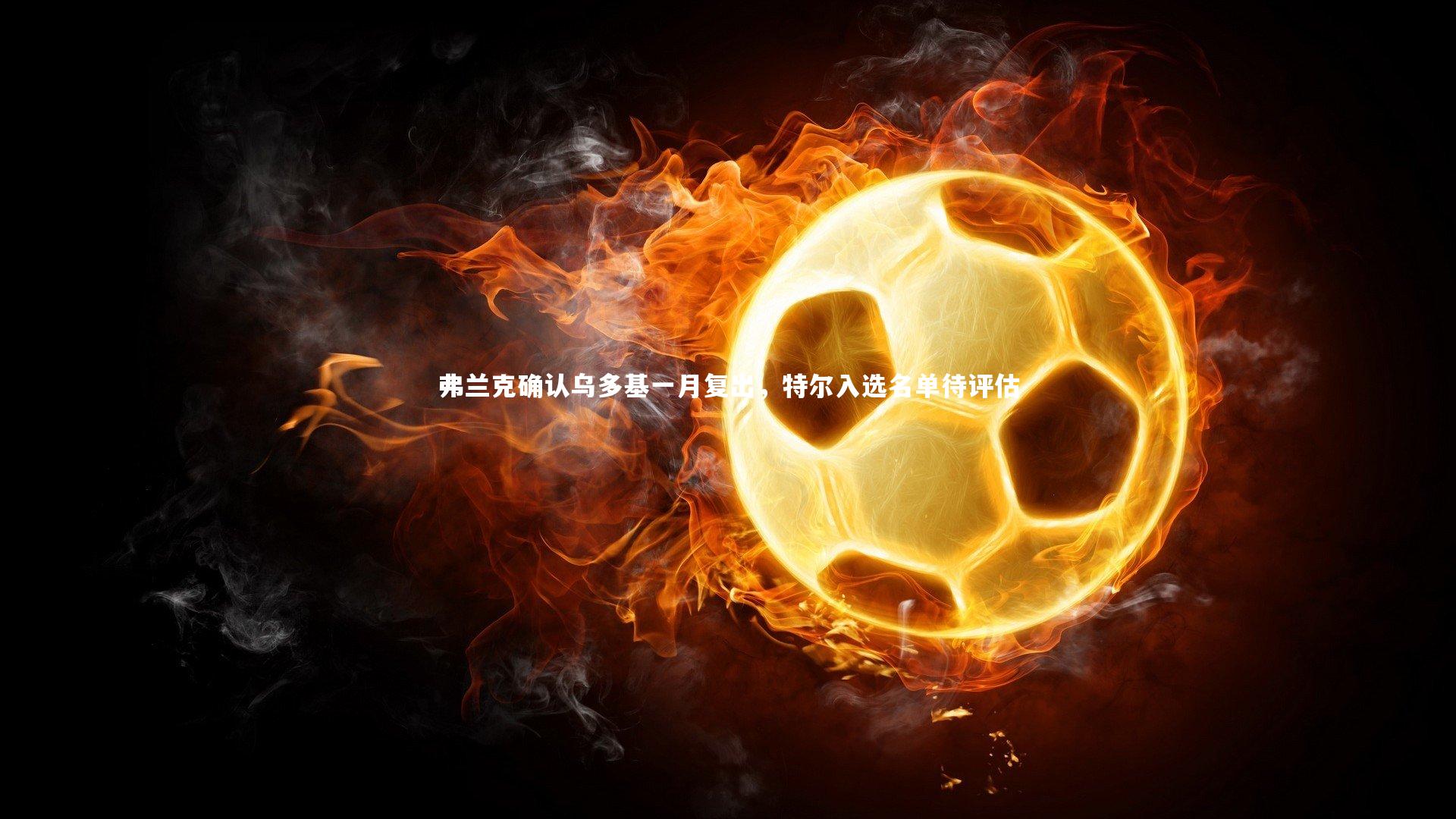 弗兰克确认乌多基一月复出，特尔入选名单待评估